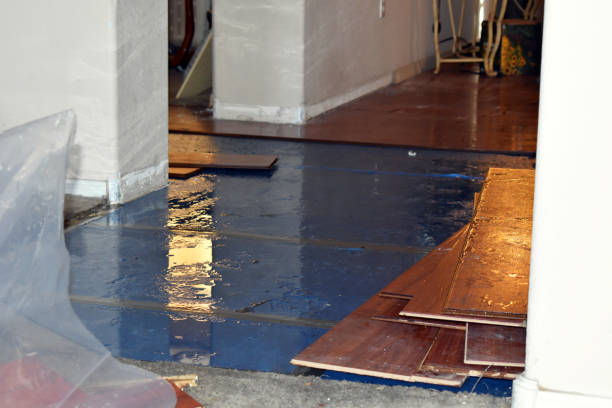 Professional Water Extraction technician working in Lena, IL